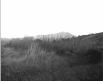    Photoshop 4

