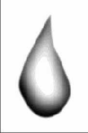    Photoshop 4
