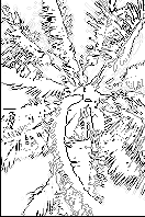    Photoshop 4
