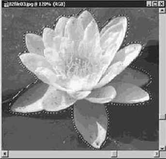 Photoshop 4-5 - учебный курс