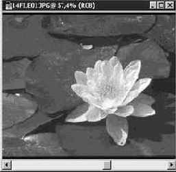 Photoshop 4-5 - учебный курс