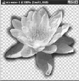 Photoshop 4-5 - учебный курс
