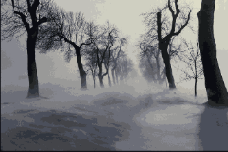      Photoshop  Illustrator

