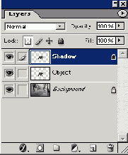      Photoshop  Illustrator

