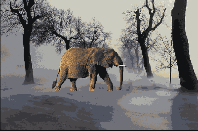      Photoshop  Illustrator
