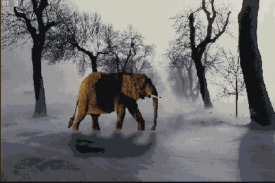      Photoshop  Illustrator
