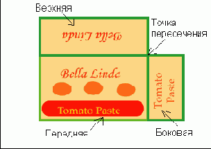      Photoshop  Illustrator
