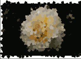      Photoshop  Illustrator
