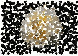      Photoshop  Illustrator
