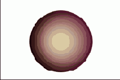      Photoshop  Illustrator
