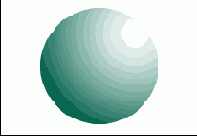      Photoshop  Illustrator
