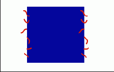      Photoshop  Illustrator
