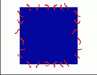      Photoshop  Illustrator
