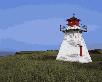      Photoshop  Illustrator
