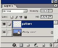      Photoshop  Illustrator
