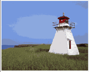      Photoshop  Illustrator
