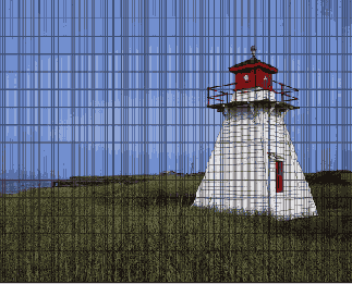      Photoshop  Illustrator
