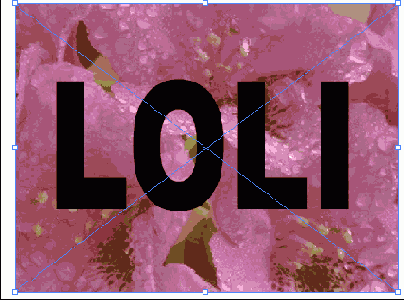      Photoshop  Illustrator
