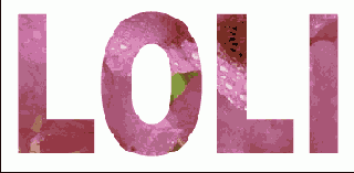      Photoshop  Illustrator
