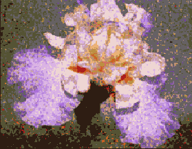      Photoshop  Illustrator
