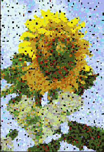      Photoshop  Illustrator
