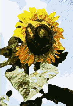      Photoshop  Illustrator
