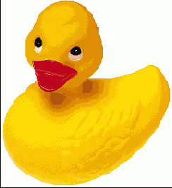      Photoshop  Illustrator

