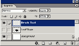      Photoshop  Illustrator
