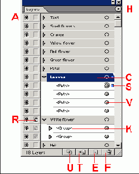      Photoshop  Illustrator
