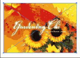      Photoshop  Illustrator
