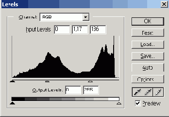      Photoshop  Illustrator
