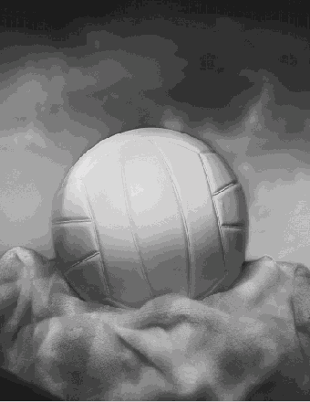      Photoshop  Illustrator
