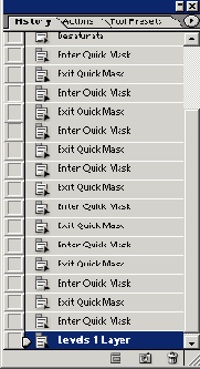      Photoshop  Illustrator
