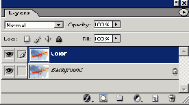      Photoshop  Illustrator
