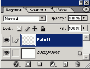 Photoshop  Illustrator
