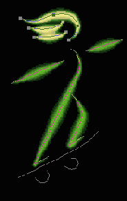 Photoshop  Illustrator
