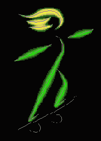 Photoshop  Illustrator
