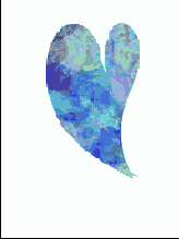 Photoshop  Illustrator
