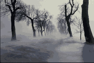Photoshop  Illustrator
