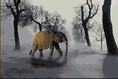 Photoshop  Illustrator
