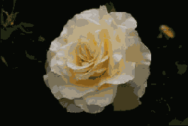 Photoshop  Illustrator
