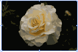 Photoshop  Illustrator
