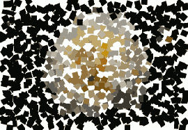 Photoshop  Illustrator
