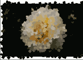 Photoshop  Illustrator
