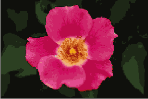 Photoshop  Illustrator
