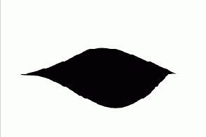 Photoshop  Illustrator

