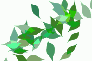 Photoshop  Illustrator
