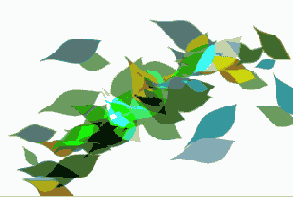 Photoshop  Illustrator
