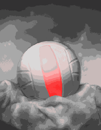 Photoshop  Illustrator
