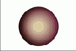 Photoshop  Illustrator
